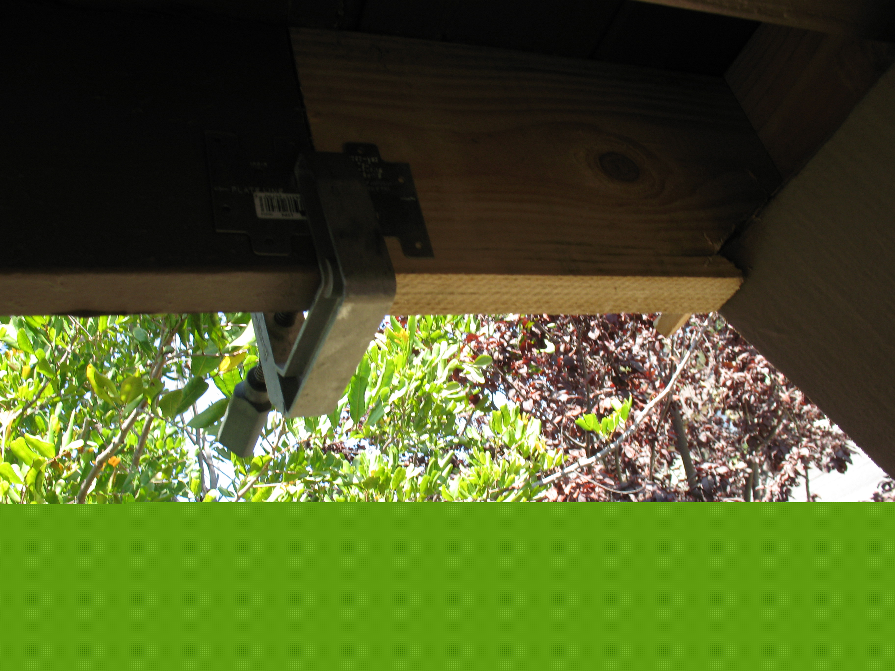 Termite Damaged Rafter Tail Repair